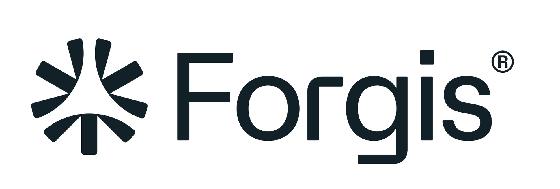logo Forgis